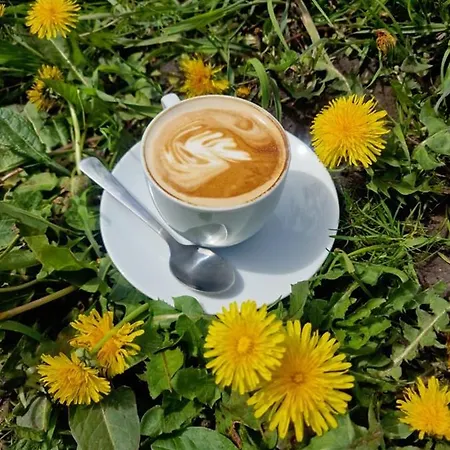Vakantiehuis Domy W Ogrodzie - Riverfront Cabins Poznań