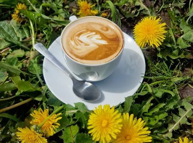 別荘 W Ogrodzie - Riverfront ポズナン