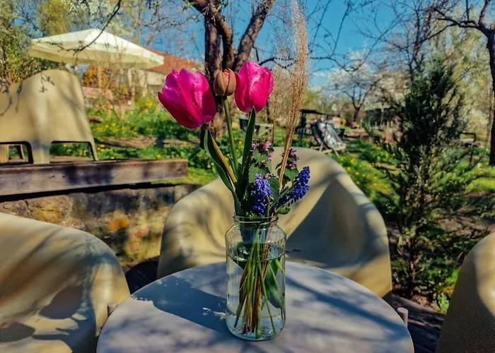 Casa vacanze W Ogrodzie - Riverfront