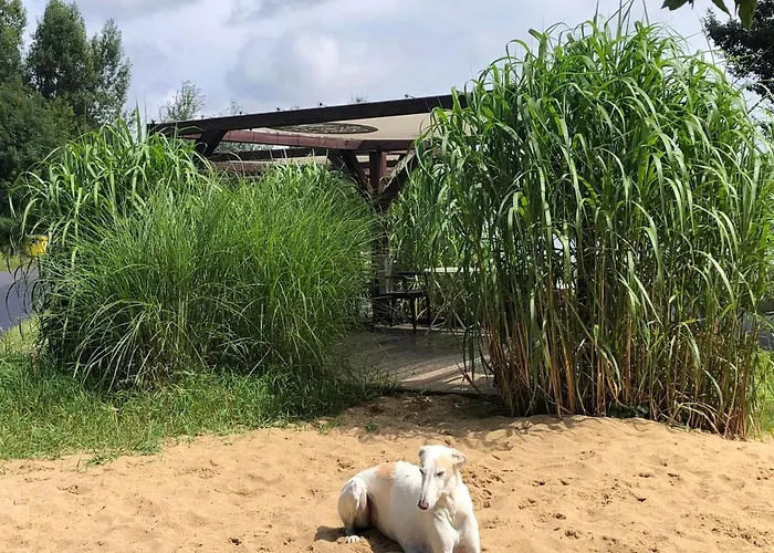 W Ogrodzie - Riverfront * Poznań