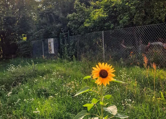 Casa vacanze W Ogrodzie - Riverfront *